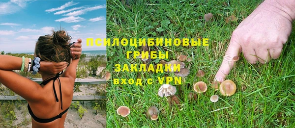 каннабис Алзамай
