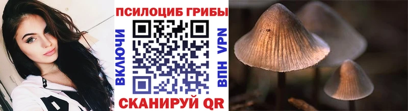Псилоцибиновые грибы Cubensis Саратов